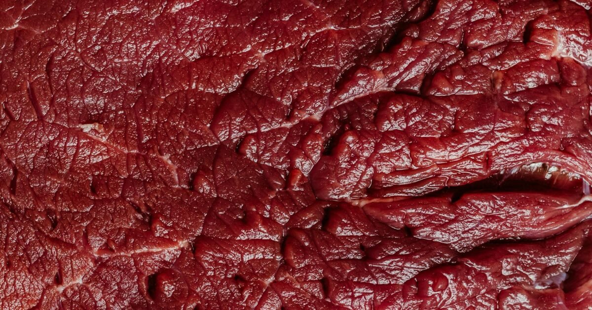 Best Protein Foods for Muscle Building: Ultimate Guide