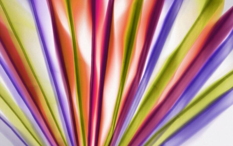 Boost Your Energy Naturally: Your Ultimate Vitality Guide