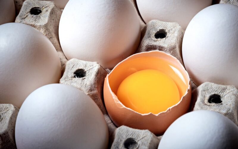 Best Protein Foods for Muscle Building